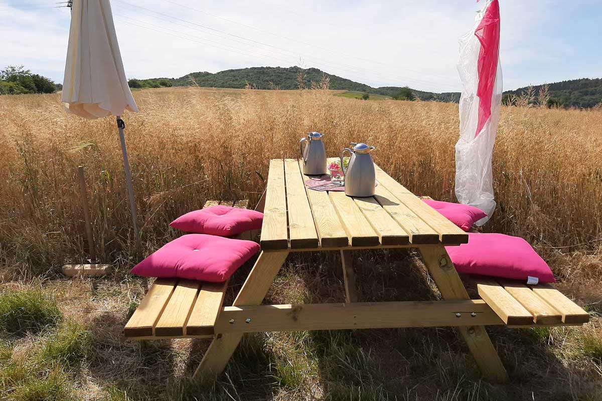 Picknick im Hochsommer am Feldrand