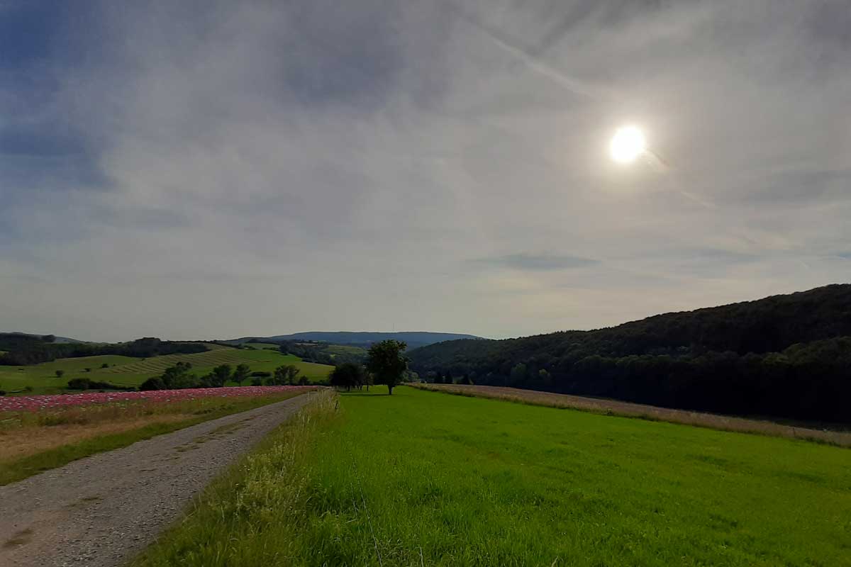 Nordhessische Landschaft